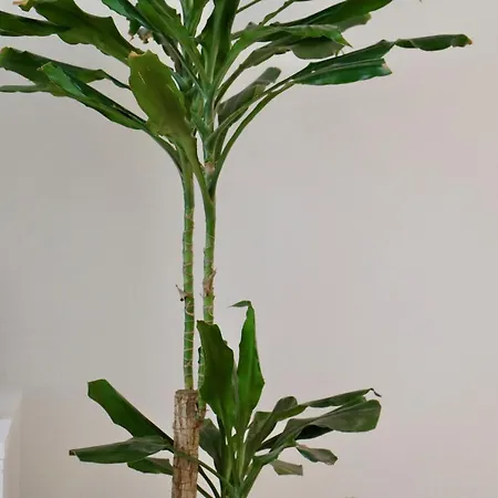 Staytion Apartament